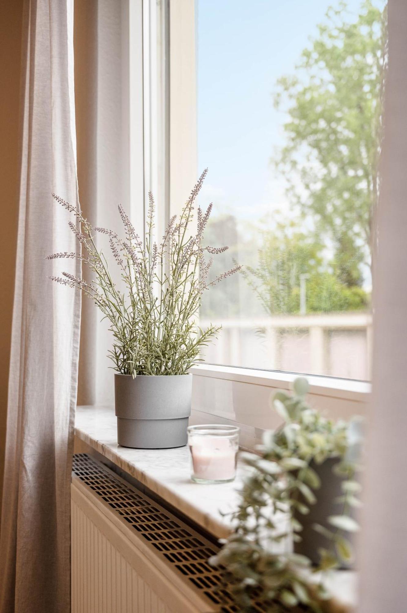 Casa Aguila - Ruhige, Zentrale 4 Zimmerwohnung In Viernheim Buitenkant foto